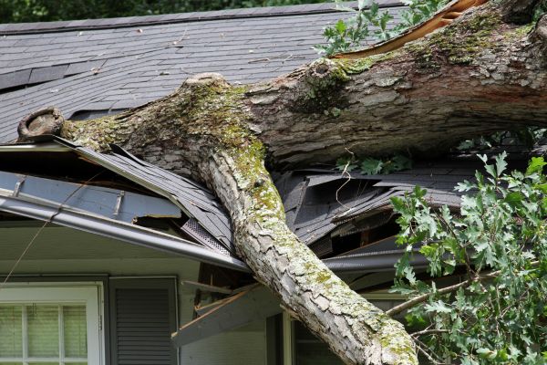 Storm Remediation in Hamilton