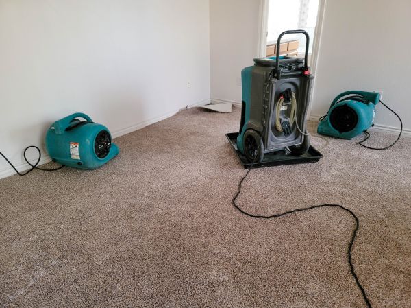 Flood Damage Repair in Hamilton