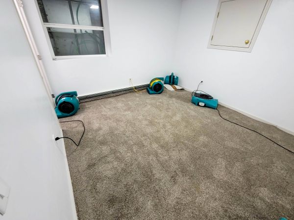 Flood Restoration Service in Hamilton