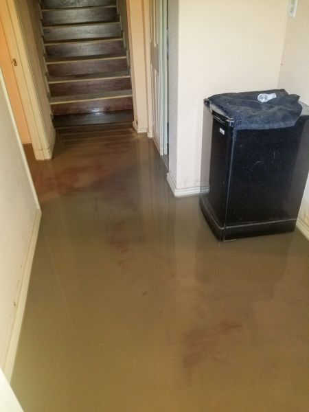 Emergency Water Removal in Hamilton